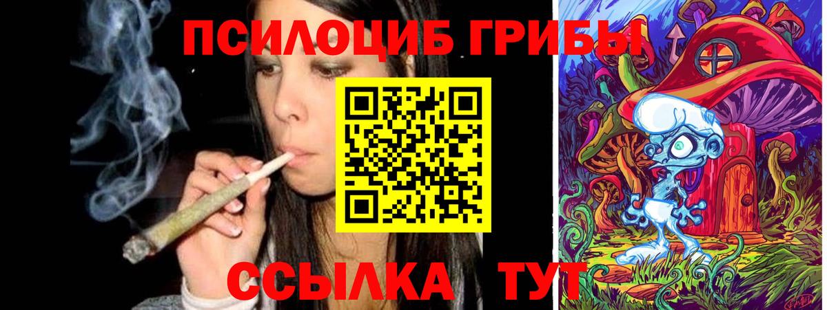 магазин  наркотиков  Псилоцибиновые грибы прущие грибы  Вход с VPN  Долгопрудный 